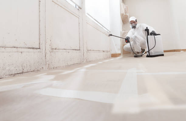 24/7 Emergency Basement Mold Remediation experts in Oxford, GA